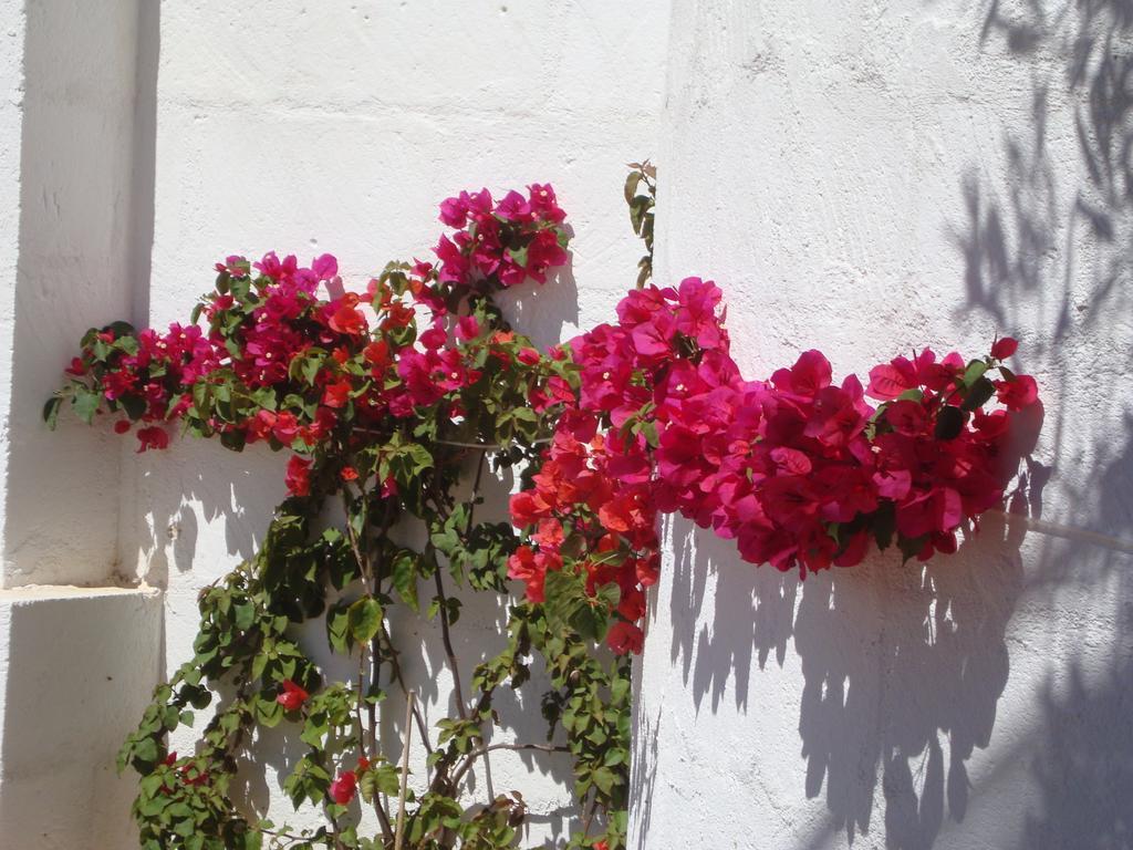Masseria Bianca Di Puglia Monopoli Room photo